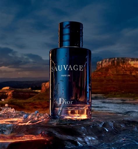 the bay store dior perfume eau sauvage|dior sauvage cologne sale.